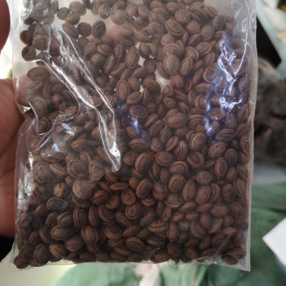 天然猴枣猴枣的价值猴枣供不应求