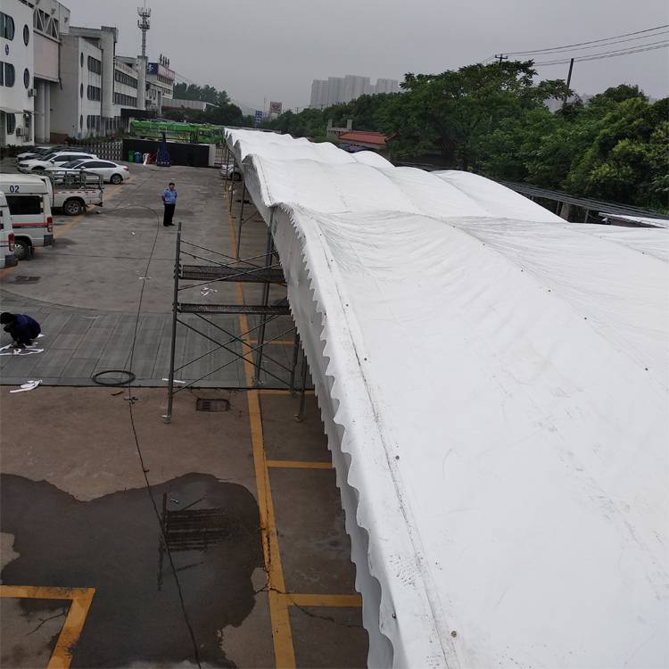 定西洗车专用雨棚烧烤蓬_可上门测量