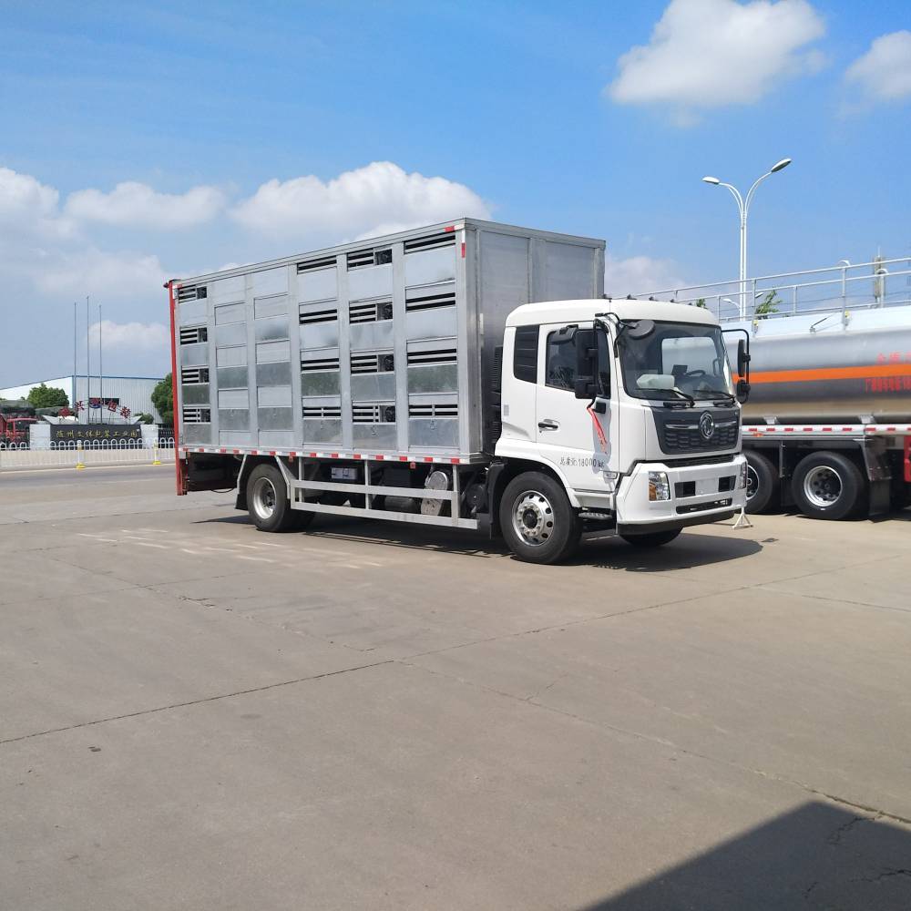 国六中型畜禽猪苗鸡苗运输车大猪小猪转运车运猪车