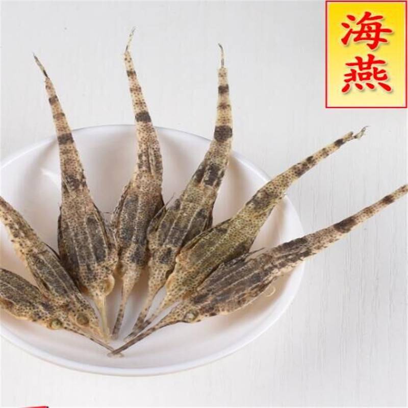 海燕价格海燕批发海燕功效