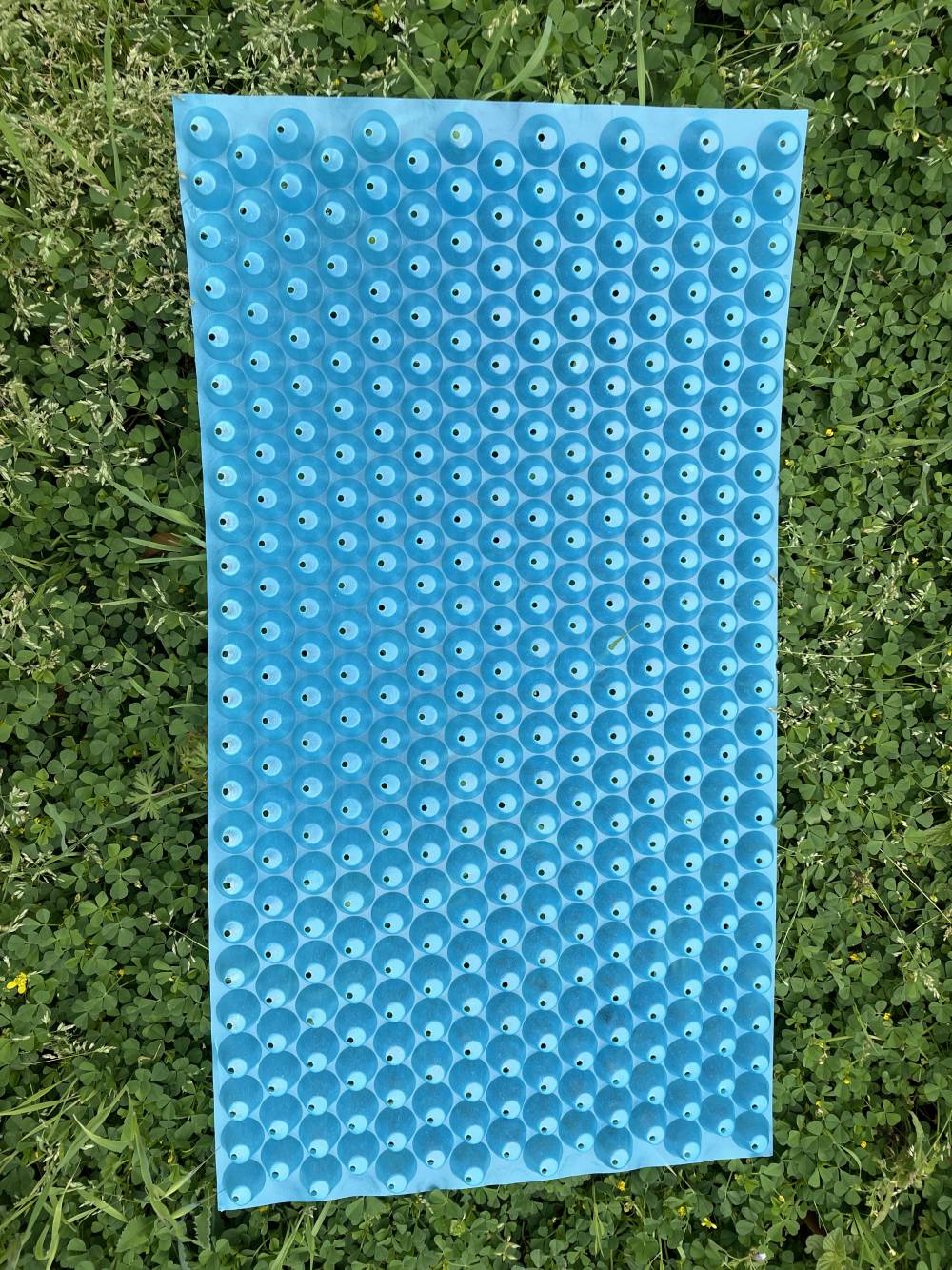 水稻育秧盘机插秧盘育苗盘平底盘9寸7寸加厚秧盘软盘