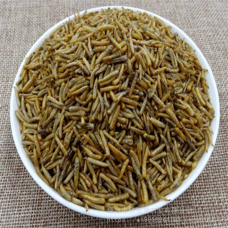 水仙子价格蛆谷虫一公斤五谷虫
