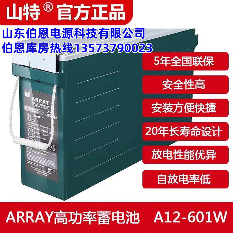 代理山0特ARRAY系列A12-601W铅酸蓄电池UPS不间断电源12V170AH