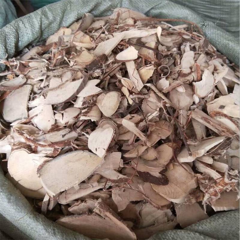 安徽亳州正宗了哥王直发地棉根 山雁皮 埔银 指皮麻 九信草产地货源价格 中国供应商