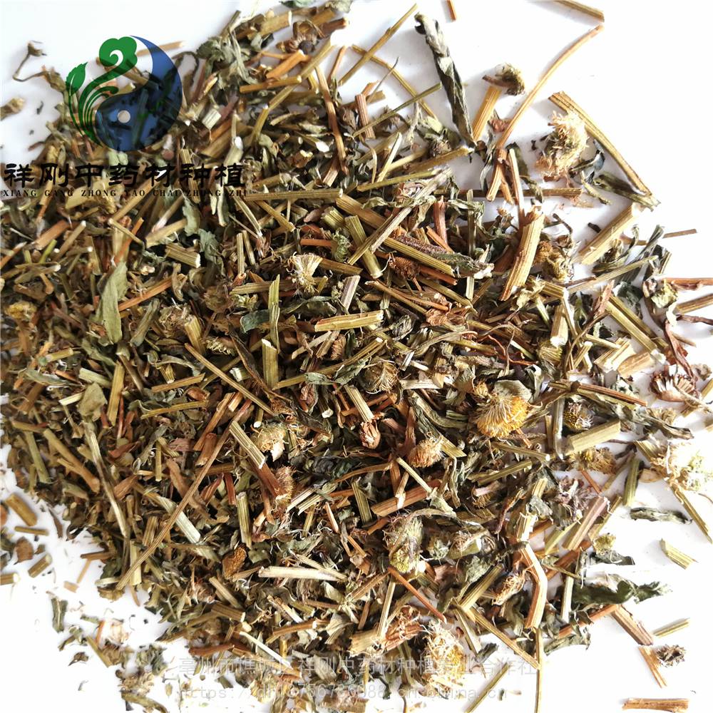 中药材灯盏草灯盏花的功效与作用当年货灯盏细辛价格