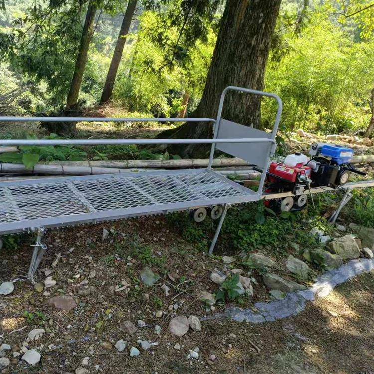 山地果园小火车茶园单轨运输机轨道运输车