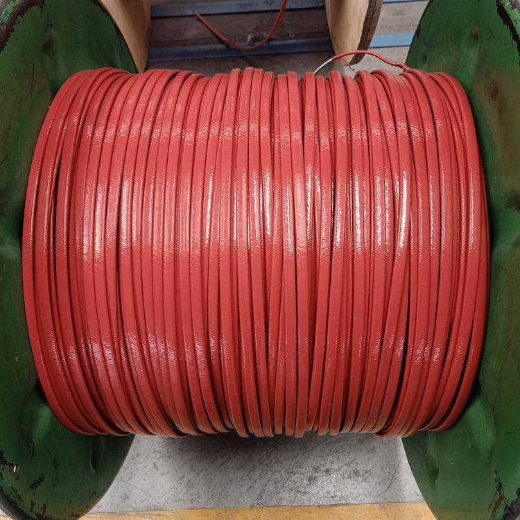 220v防爆防腐恒功率电伴热带rdp2j4图片