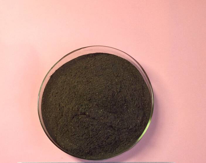 毛霉菌粉毛霉的繁殖方式