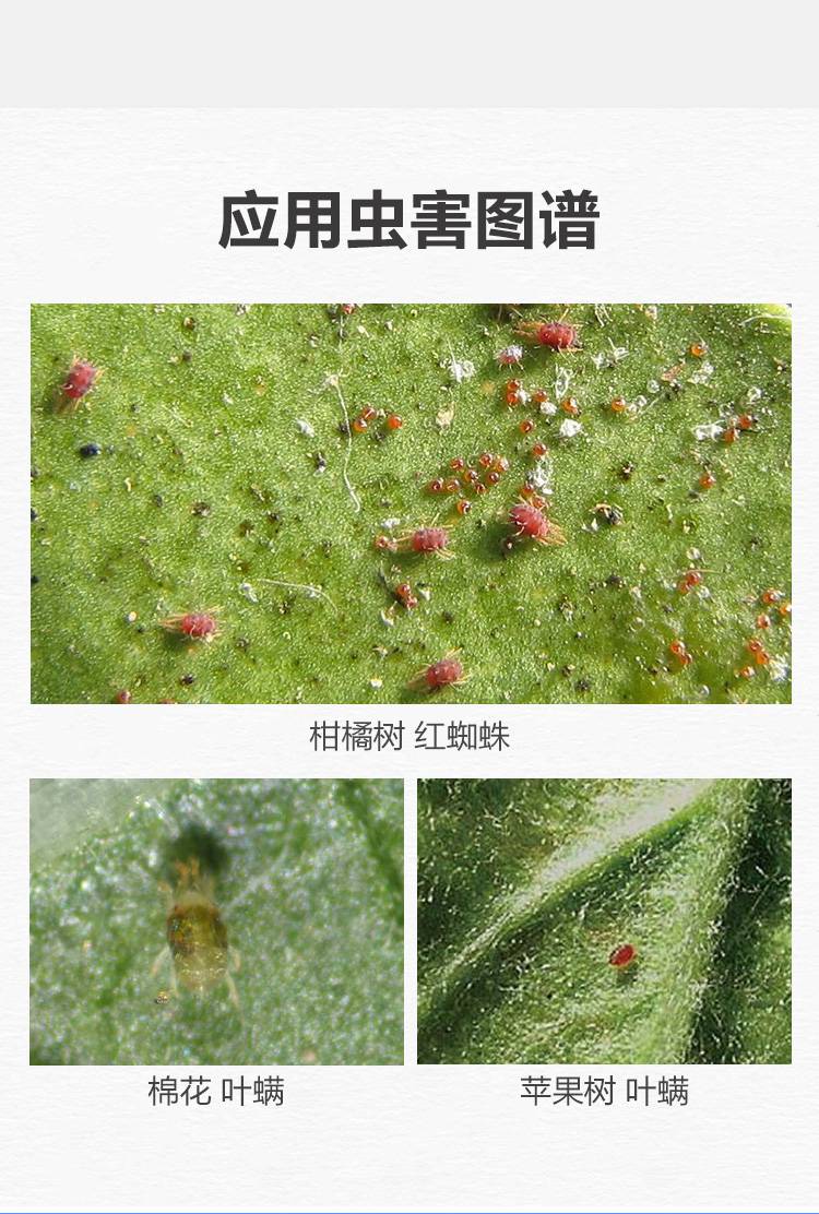 宝卓30乙唑螨腈红蜘蛛柑橘苹果蔬菜草莓月季花叶螨杀虫杀螨剂