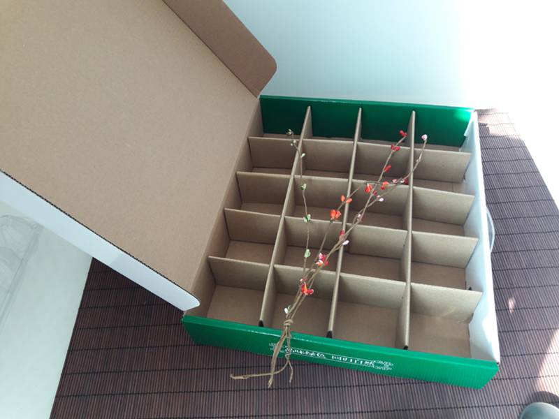 信阳包装盒设计 彩箱设计印刷 礼品盒苹果箱
