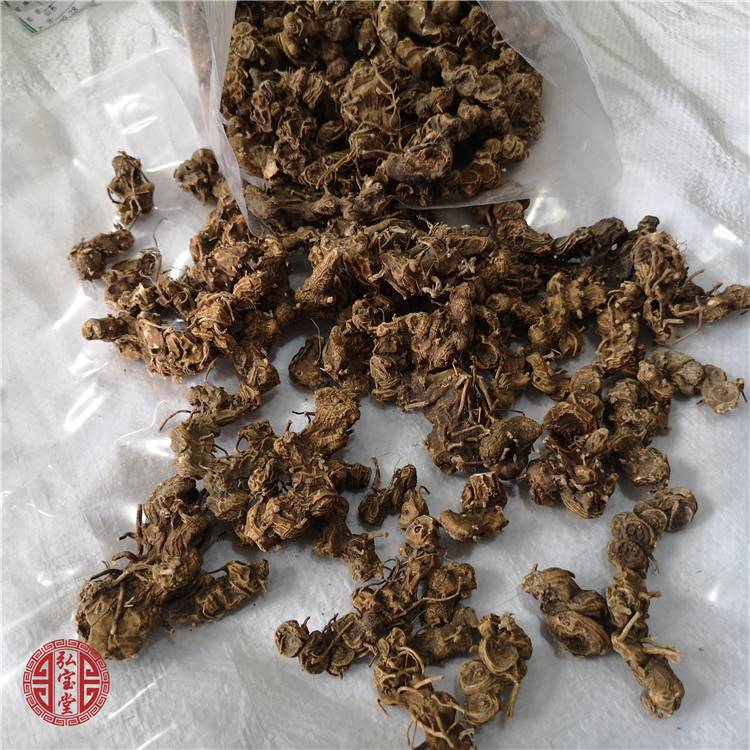 鬼臼哪里有卖的鬼臼爵犀马目毒公九臼天臼批发