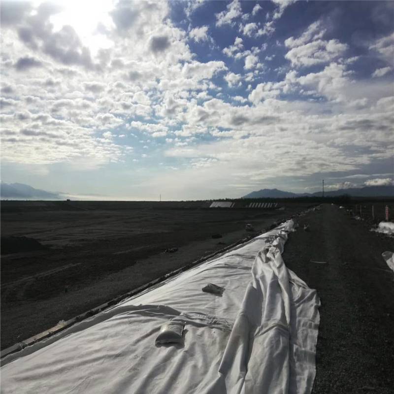 吉林900g非织造复合土工膜 水渠铺设防漏 润业土工