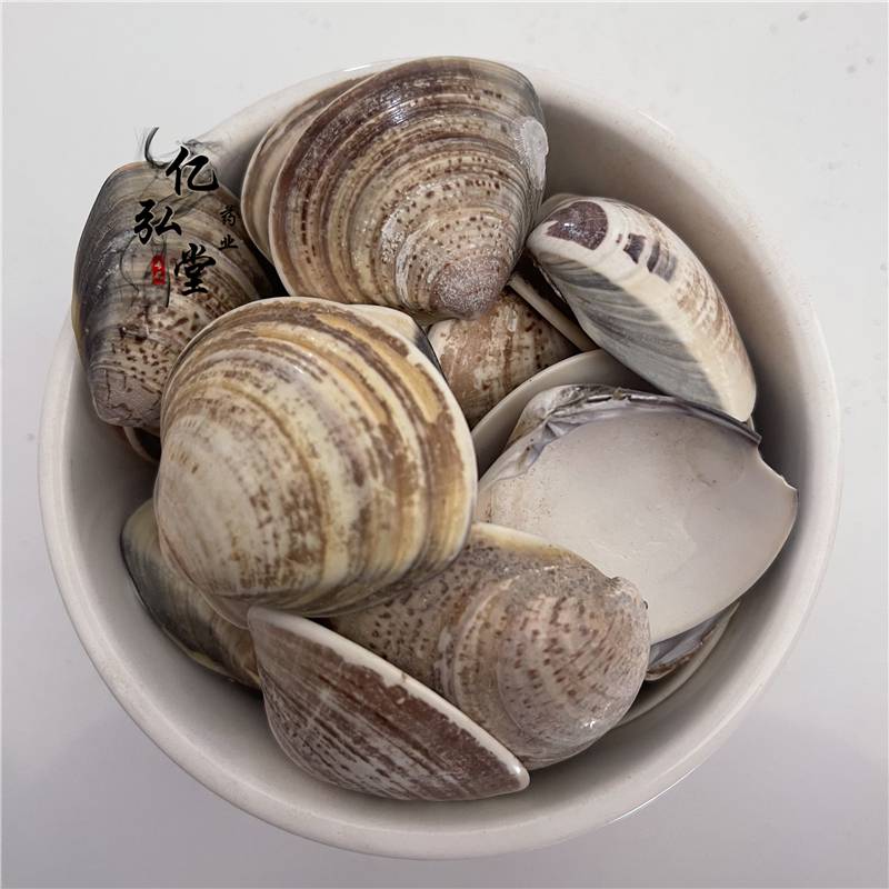 蛤壳 蛤壳批发 蛤壳一斤批发