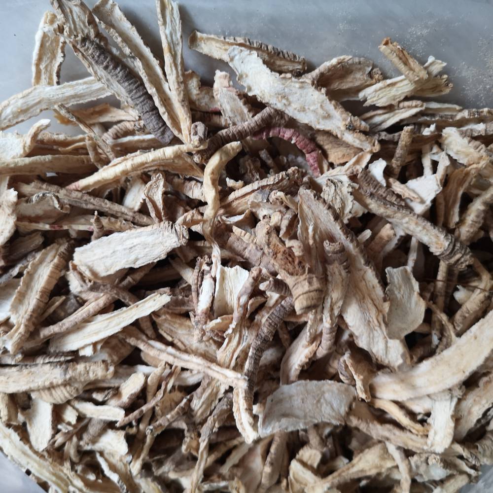 【中药材山海螺价格 供应正宗山海螺图片】中药材山