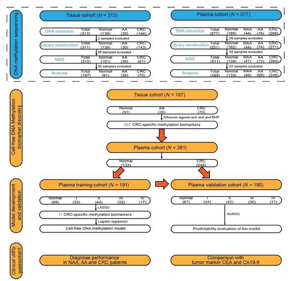 Figure 1. The study workflow chart.