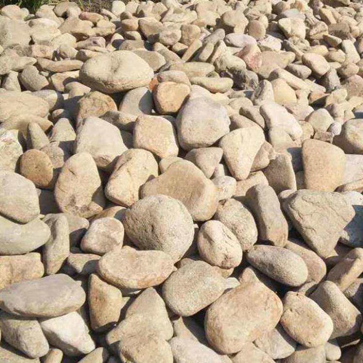 天然鹅卵石景观石滤水铺路铺河底鹅软石多规格小石头