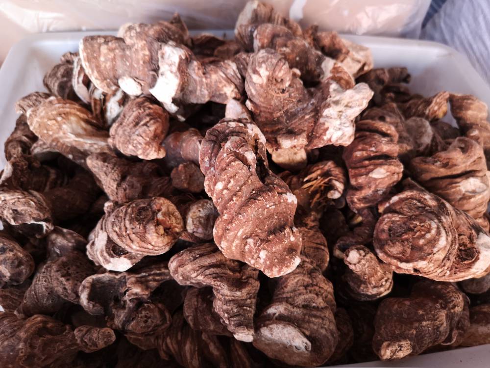 海螺七药用用法及用量重楼药用有什么药效