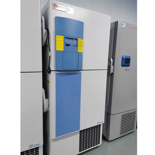 二手thermoscientificforma700系列低温冰箱负80度