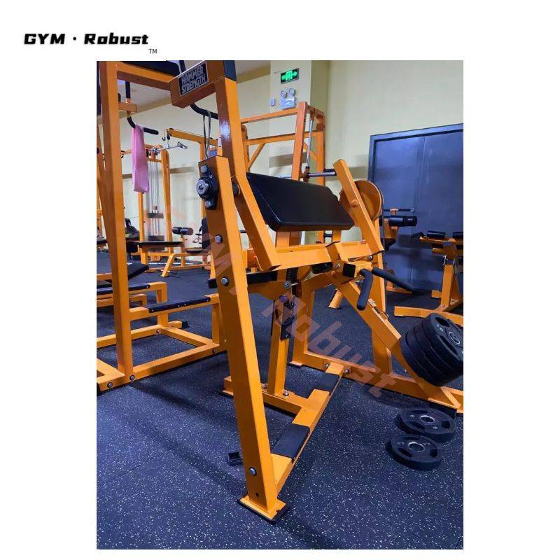 GYM·Robust出口健身器材 室内器械批发
