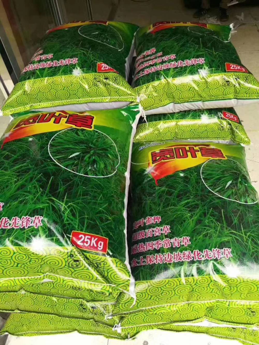藿香普通矢车菊花籽三色堇花种子神香草百脉根草籽马尾松铜钱树