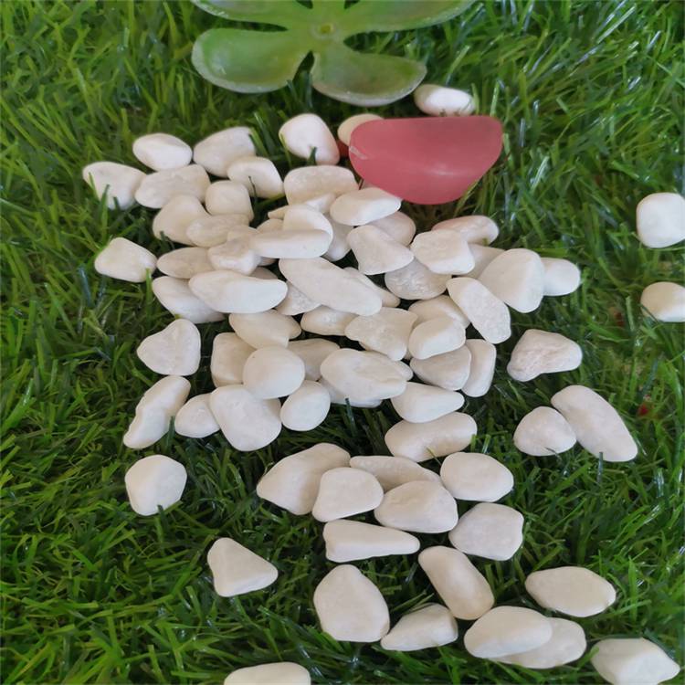 园林景观白色卵石家装建材园林铺路枯山水造景