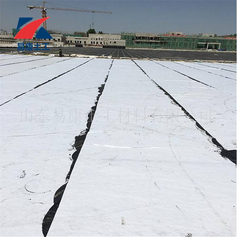内蒙古尾矿坝排水渗排水片材复合排水层