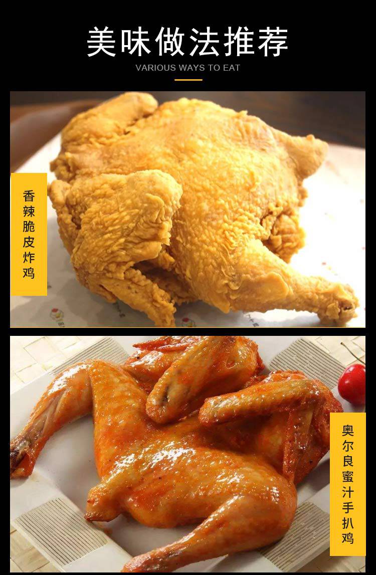 华康全鸡18只西装鸡童子鸡炸鸡烤鸡餐饮原料