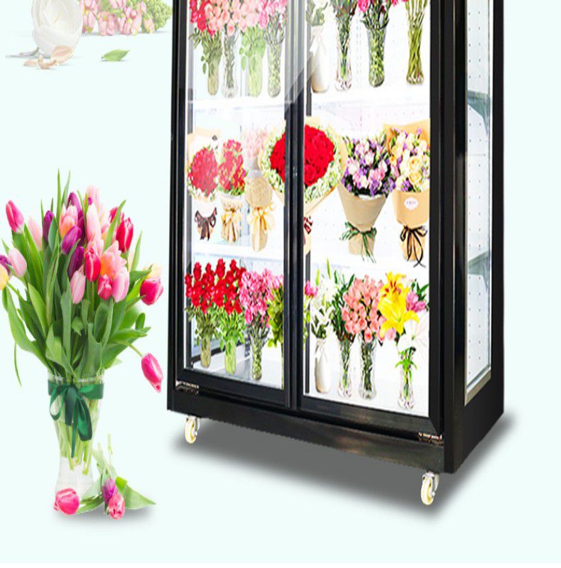 悍舒鲜花柜鲜花保鲜柜冷藏展示柜陈列柜冰柜双开门三开门风冷直冷