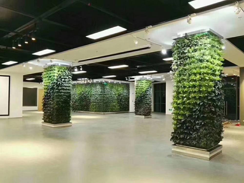 【一线】香港科技大学（广州）四龙涌景观绿化工程完工