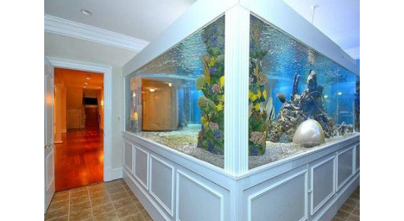 昆明大型观赏鱼缸哪家定做好 云南鲸涛水族鱼缸海鲜池定制供应