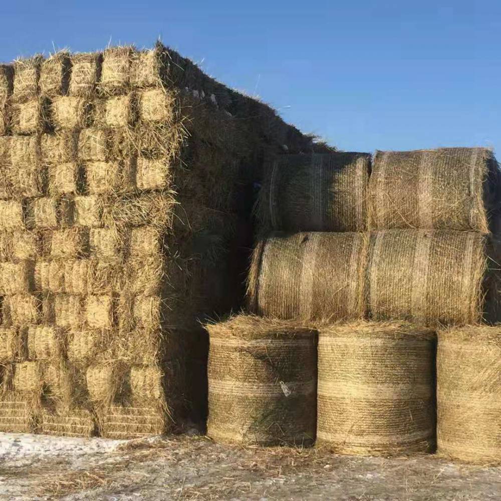 草粉饲料原料苜蓿草天然草粉细度5mm可以做兔鹅牛羊全价饲料原料的草