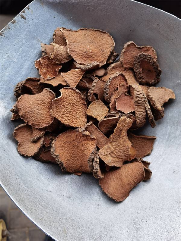 黄药子真伪鉴别黄药子种子种苗种植黄药子收购价格黄药子别名叫什么