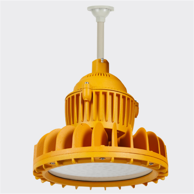 【过消防安检车间led防爆照明灯 _ 60w免维护节能防爆灯投光灯】价格_