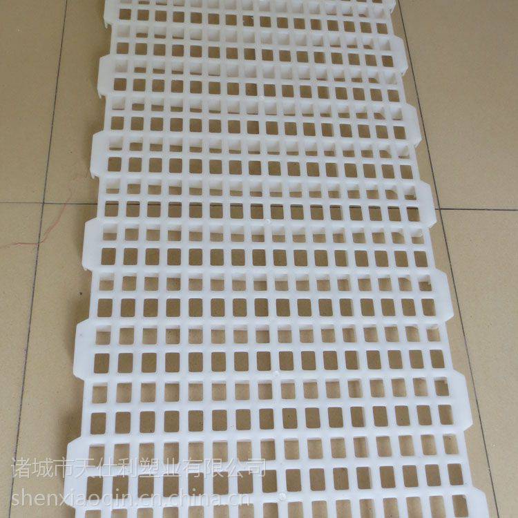 天仕利供应大鸡鸭用塑料漏粪板规格为1.2米长