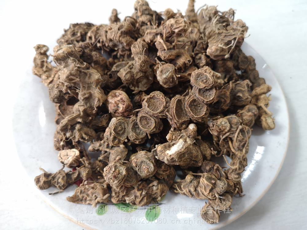 鬼臼哪里有卖的鬼臼爵犀马目毒公九臼天臼批发