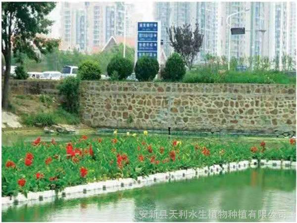 抗风浪泡沫人工浮岛,不怕冰冻,工人可直接在浮岛上施工