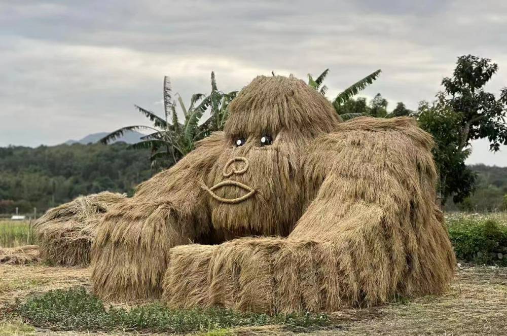 隆子县丰收节稻草工艺品轩轩景观