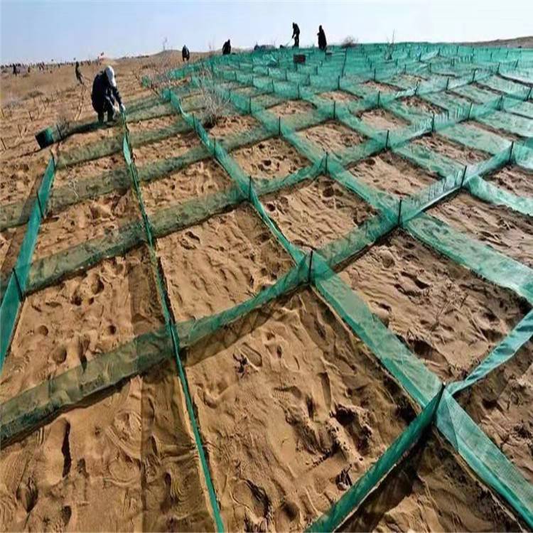 河北崇九蜂窝式防沙固沙网立式方格沙障阻沙网防沙网配套固定杆厂家
