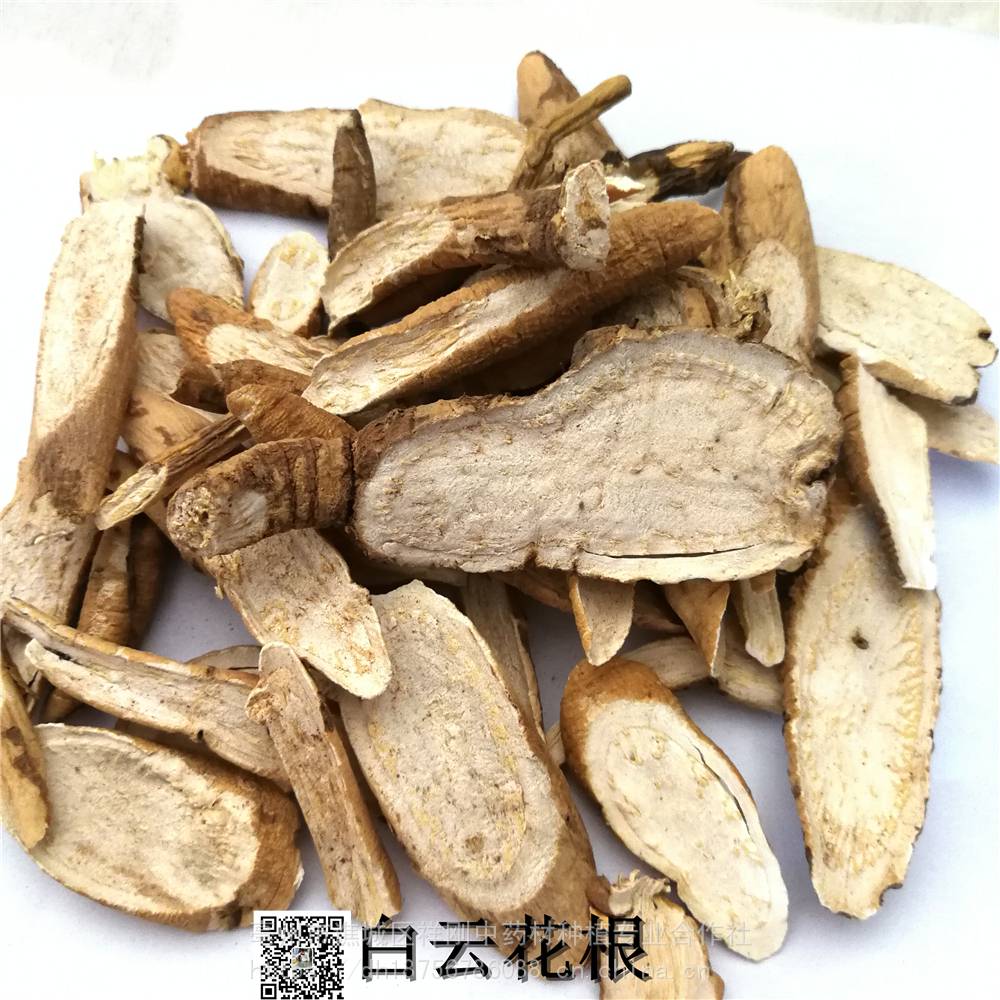 中药白云花根功效作用白云花法罗海毛爪参滇独活香白芷恙活骨恙活鹤庆