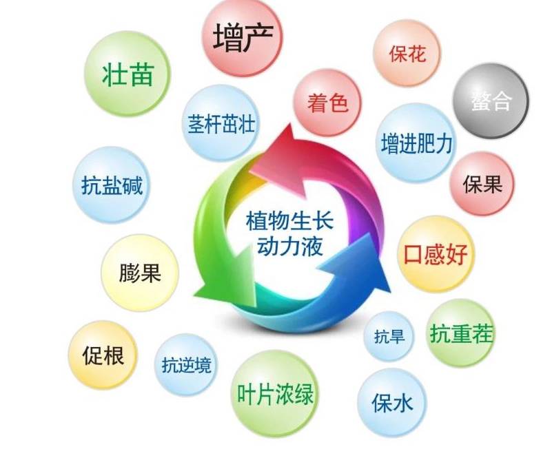 中微量元素水溶肥料全水溶钙镁硫锌硼有机肥厂家直销微量元素肥