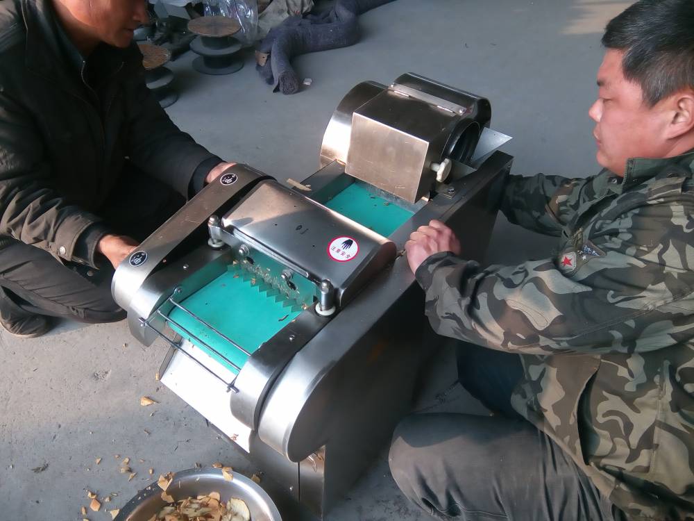 球茎切菜机不锈钢切菜机切洋葱切白菜