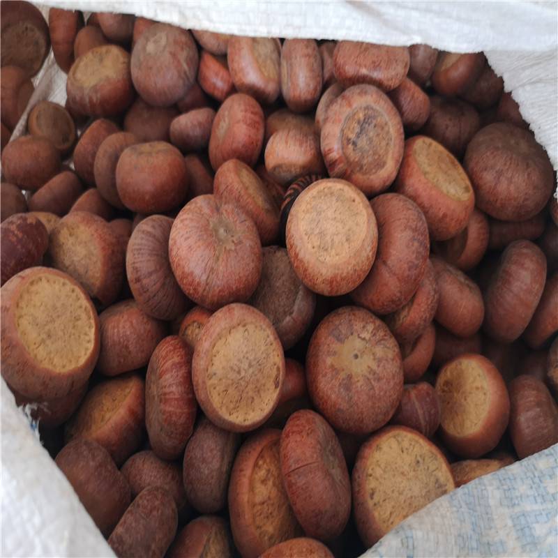 果哪里有卖的果的药用价值