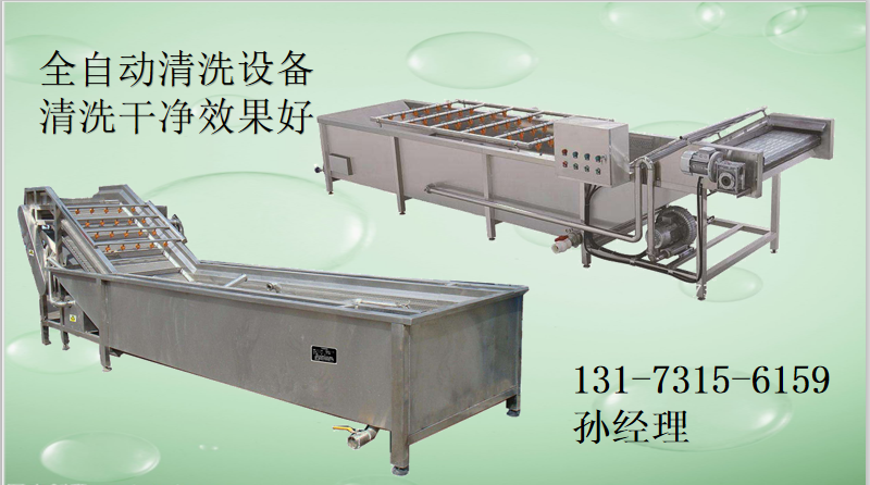 鼓风式蔬菜清洗机无伤痕清洗效果好