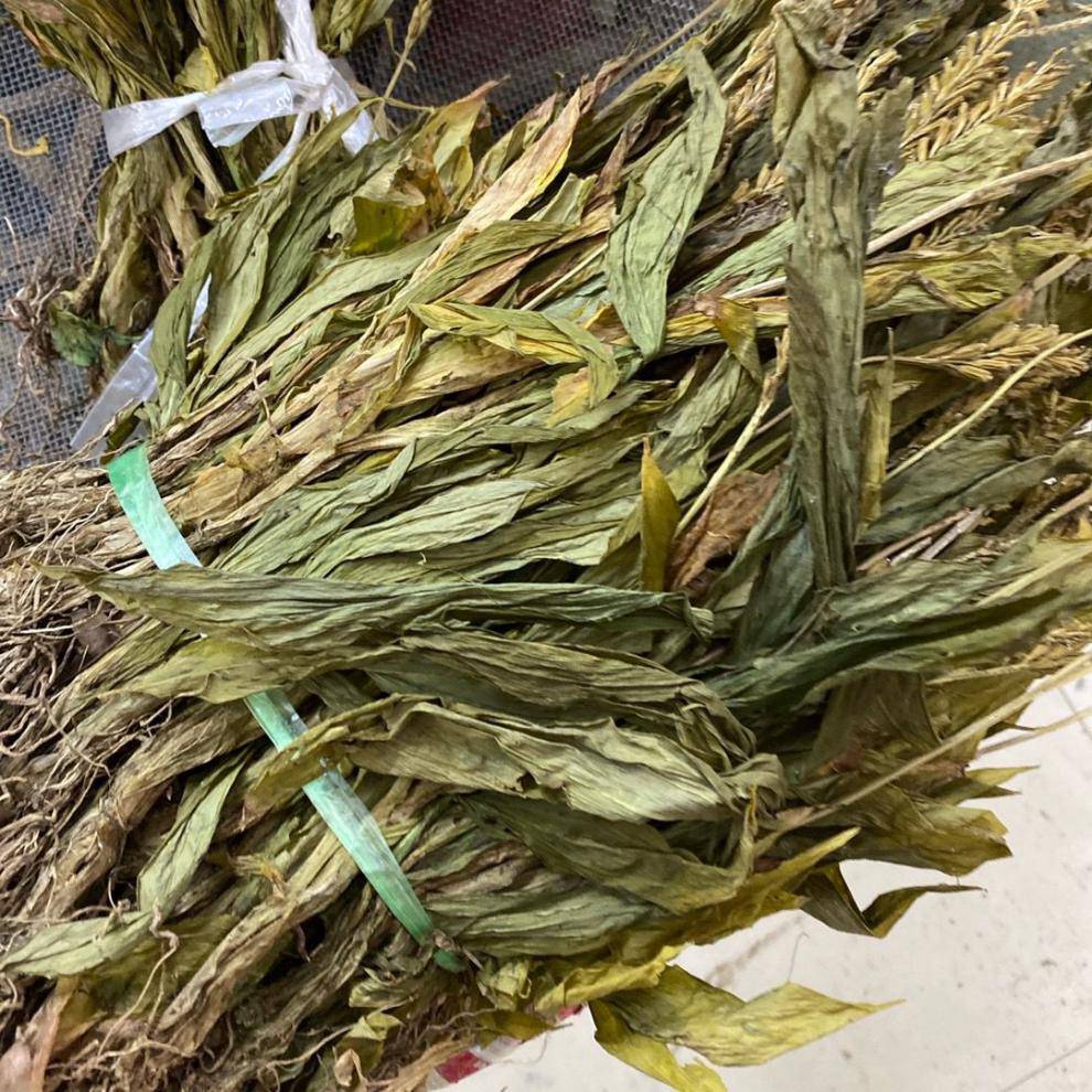 中药材天葵子批发天葵子今日价格