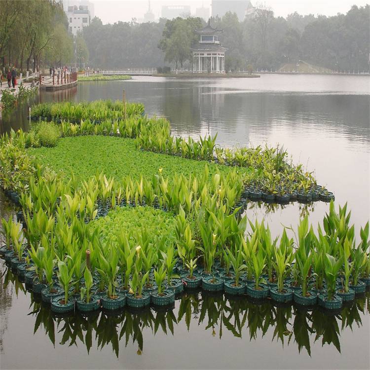 出售生态人工浮岛水生态治理浮岛水上种植景观绿化浮岛厂家承接安装