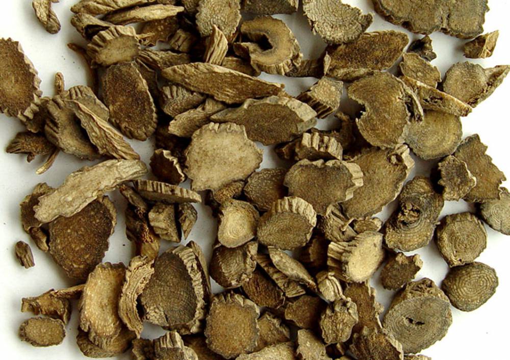 【川断功效与作用 批发川断】安徽亳州川断功效与作用 批发川断 - 亳