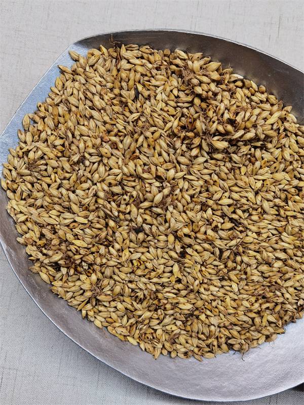 炒麦芽加工方法炒麦芽价格多少钱斤炒麦芽哪里有卖的炒麦芽图片