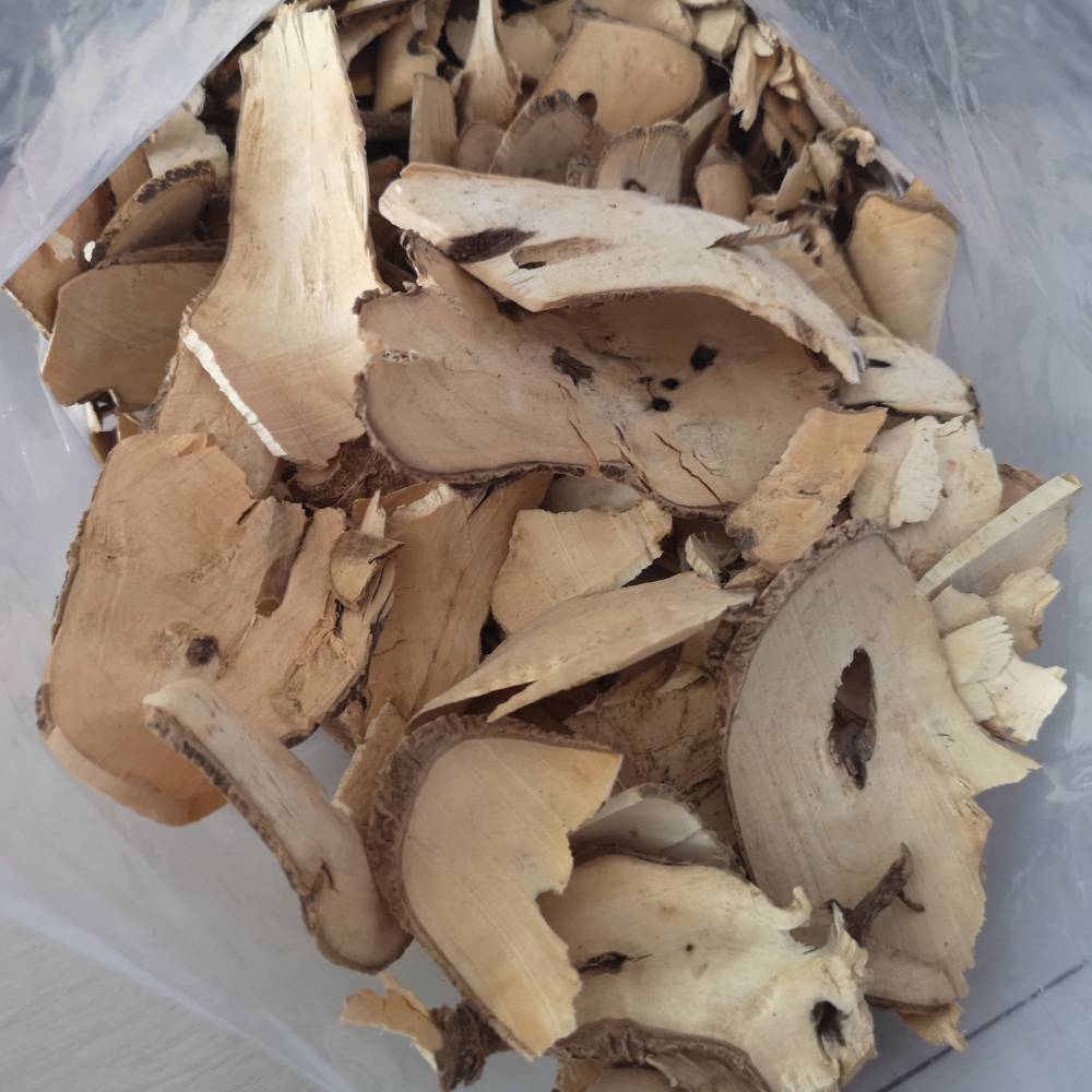 正宗黄花倒水莲黄花参鸡仔树吊吊黄黄花用水莲