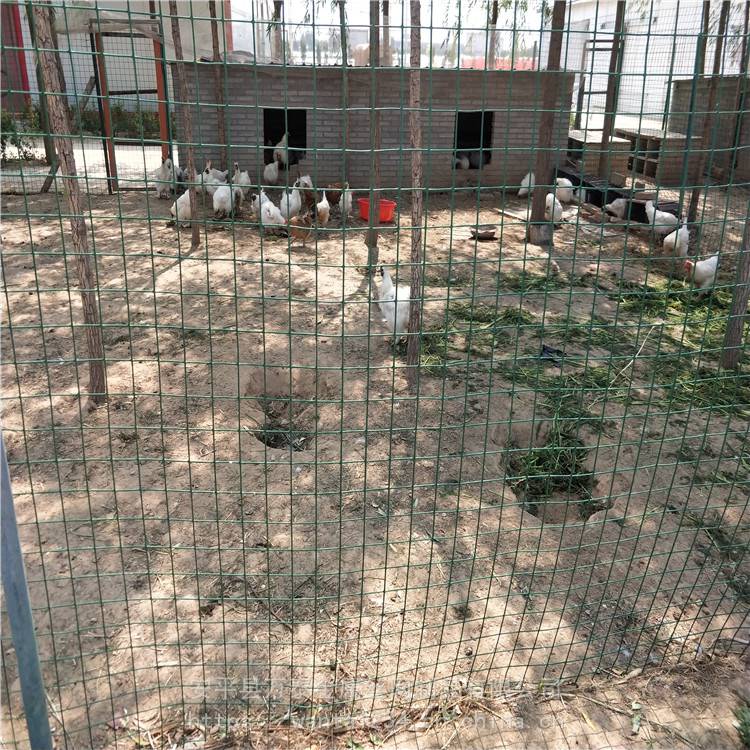 U8国际- U8国际官方网站- U8体育APP下载凝聚共识 共绘蓝图——天津市畜牧兽医学会动物福利与健康养殖分会第一届第四次理事会圆满召开