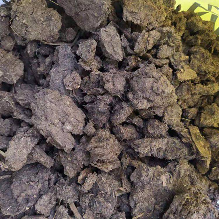 干牛粪晾晒干牛粪厂家干牛粪批发厂家